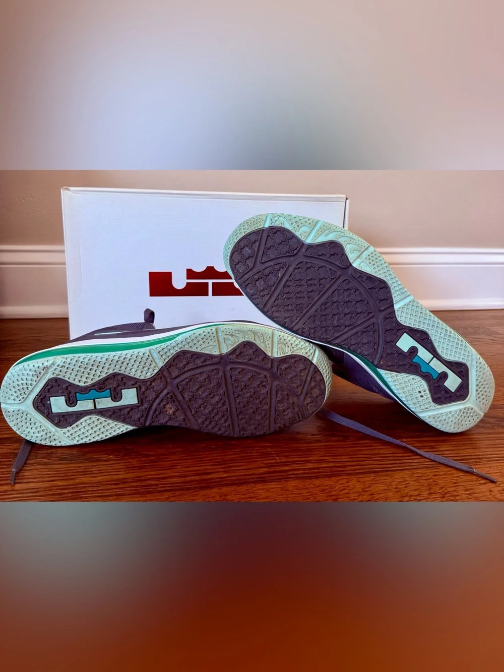 Nike LeBron 9 Low Easter Size 13 OG Box Extra Laces